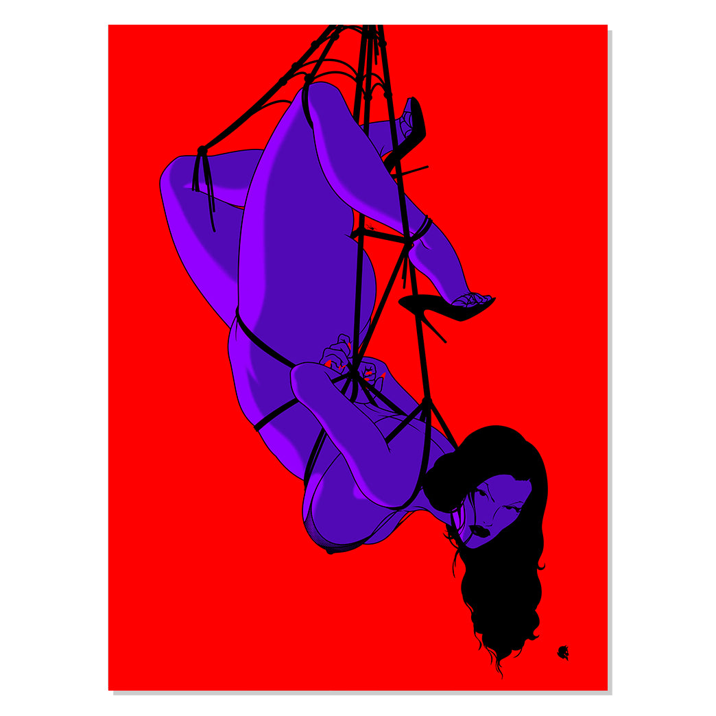Bodies